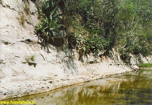 Rio Gurabo