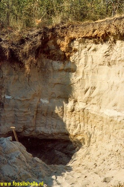 Germigny-sous-Coulombs