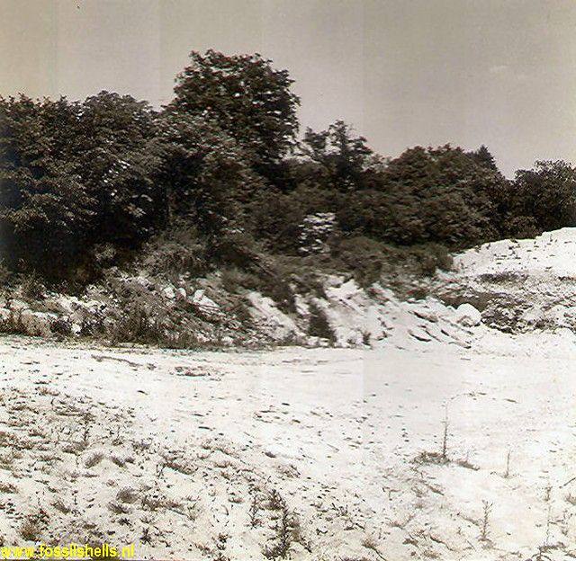 La Chapelle-en-Serval