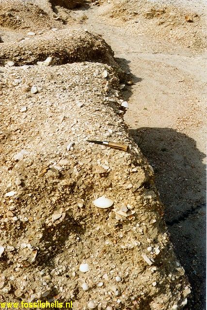 Apac Quarry