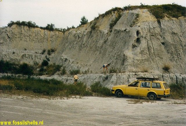 Vila Nova de Albenga