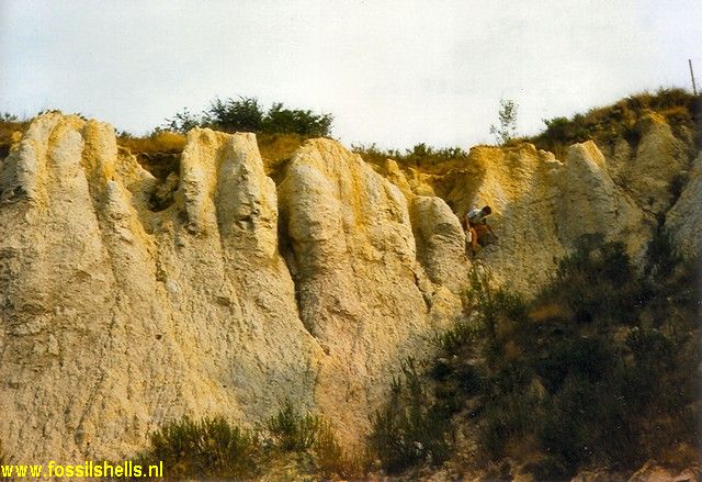 Vila Nova de Albenga