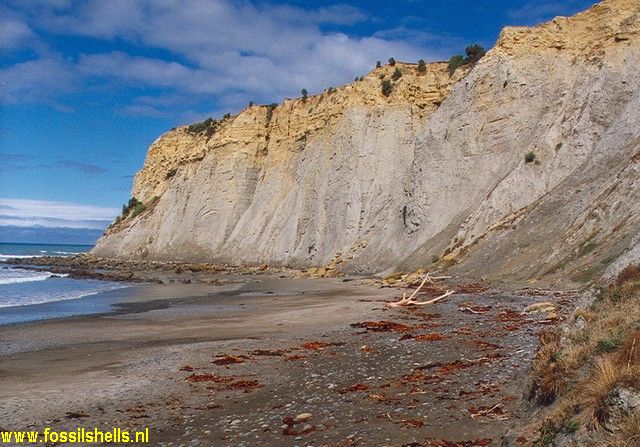 Motunau Station Beach