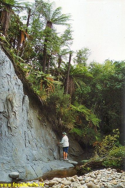 Shemrock River (Goldborough)
