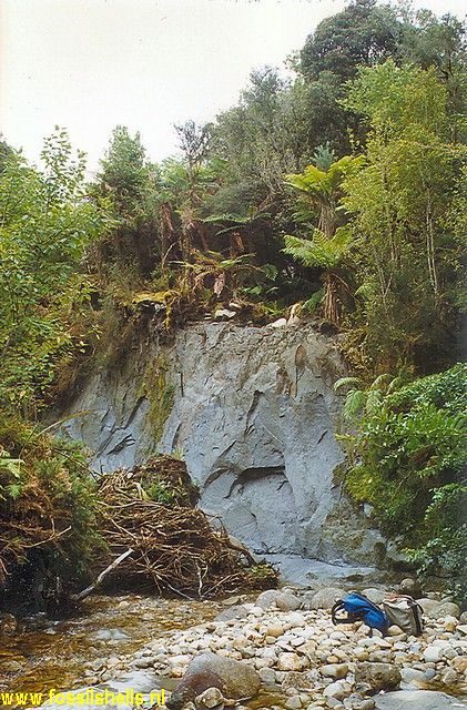 Shemrock River (Goldborough)
