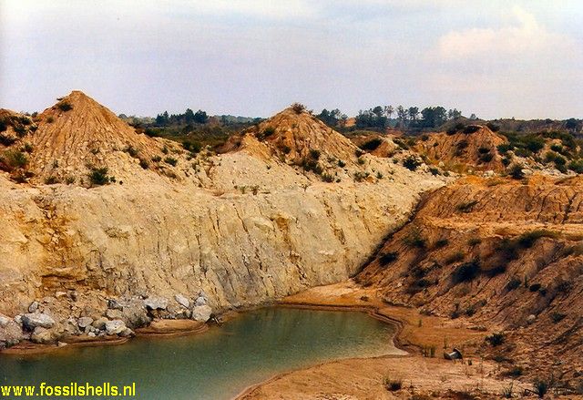 Berkely Quarry