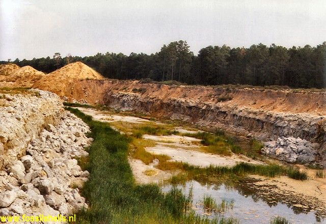 Berkely Quarry